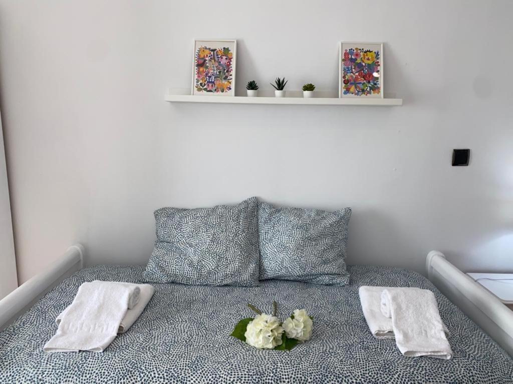 Apartamento Soltova Casar de Cáceres Εξωτερικό φωτογραφία